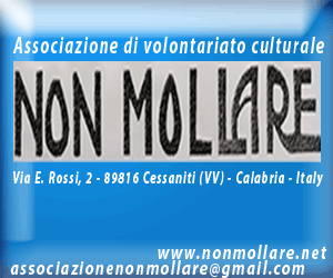 nonmollare-300x250