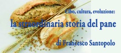 Cibo, cultura, evoluzione: la straordinaria storia del pane